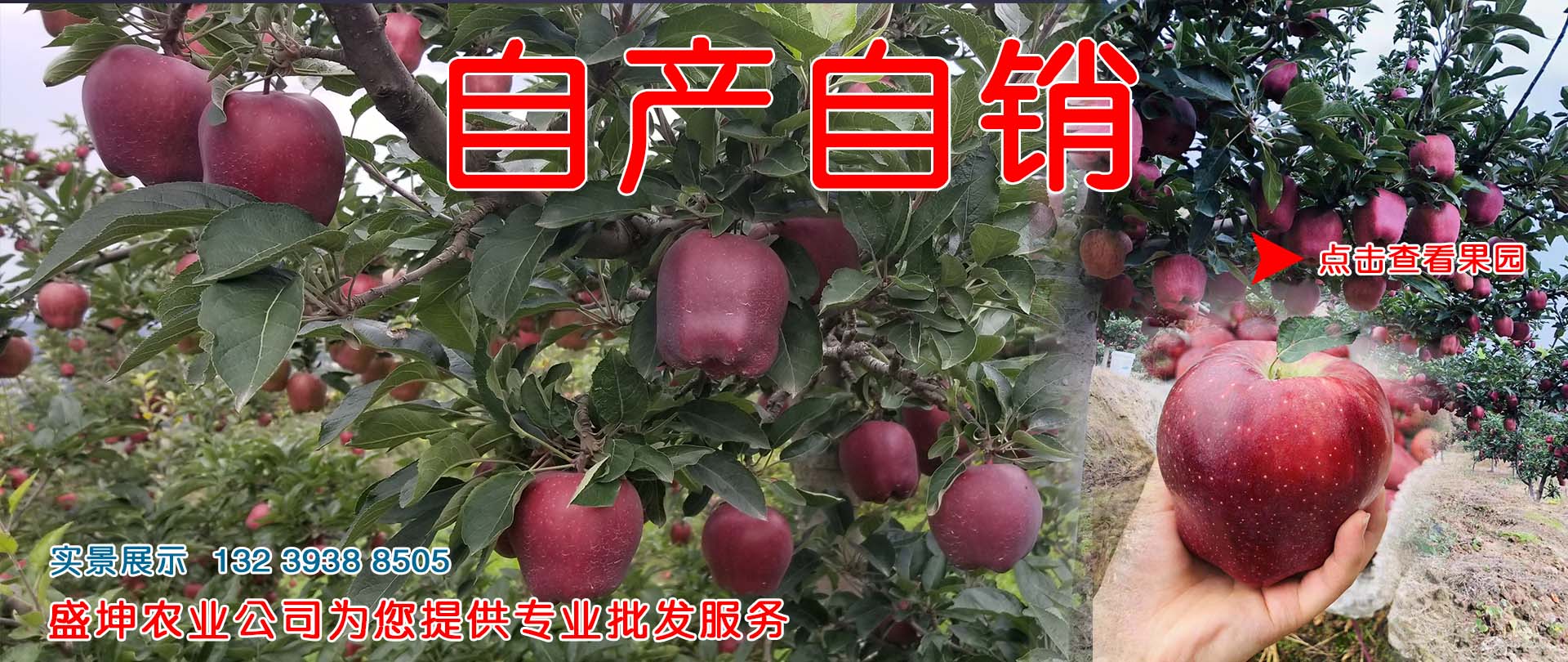 2019年花牛苹果批发